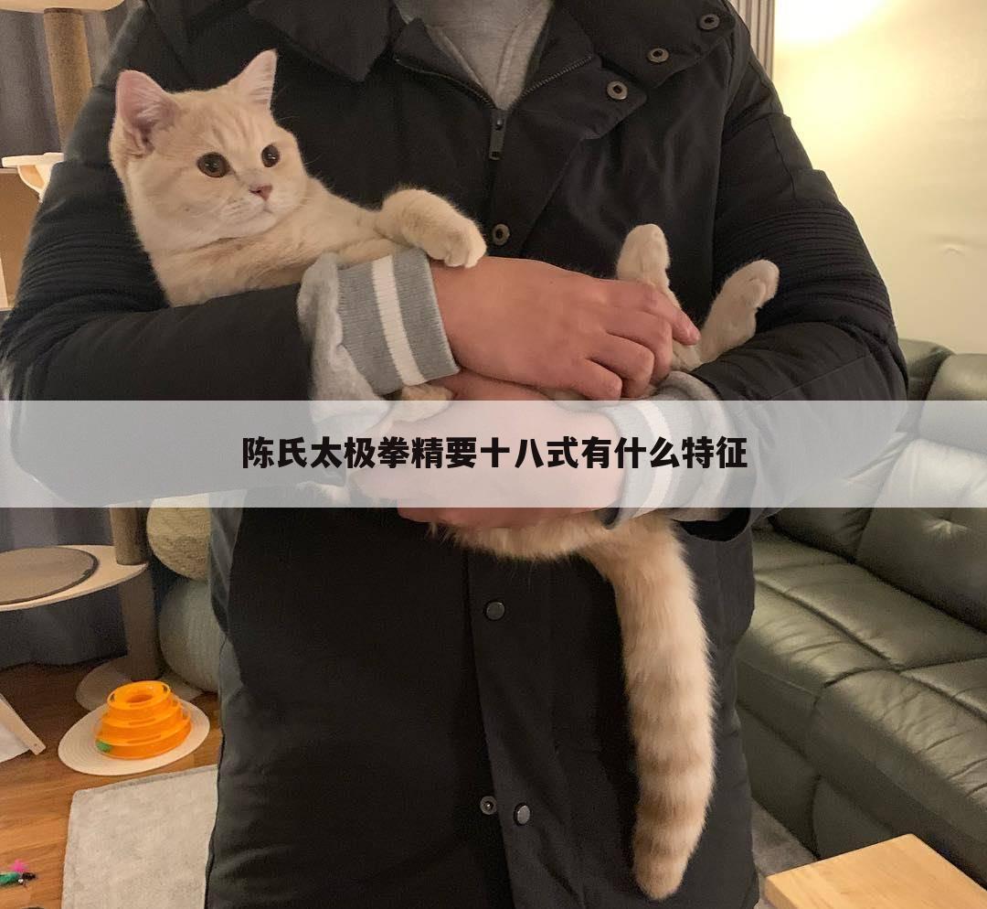 陈氏太极拳精要十八式有什么特征